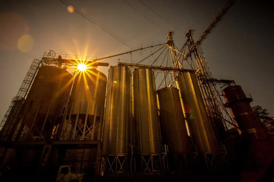 Vista en contrapicado de una instalación industrial con grandes silos metálicos, iluminados por el sol poniente, con estructuras y pasarelas visibles.